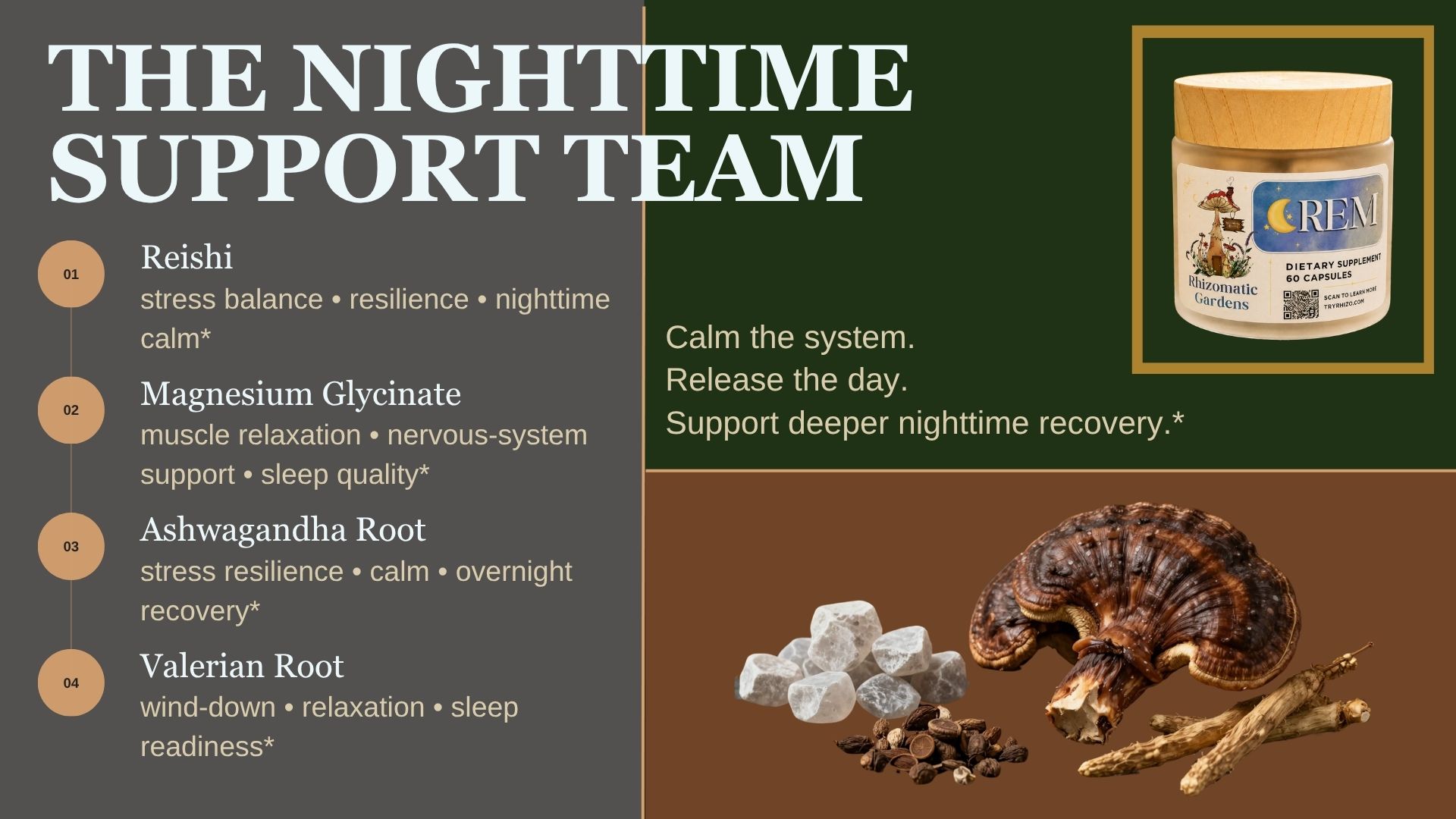 The REM nighttime support team: Reishi, Magnesium Glycinate, Ashwagandha Root, and Valerian Root