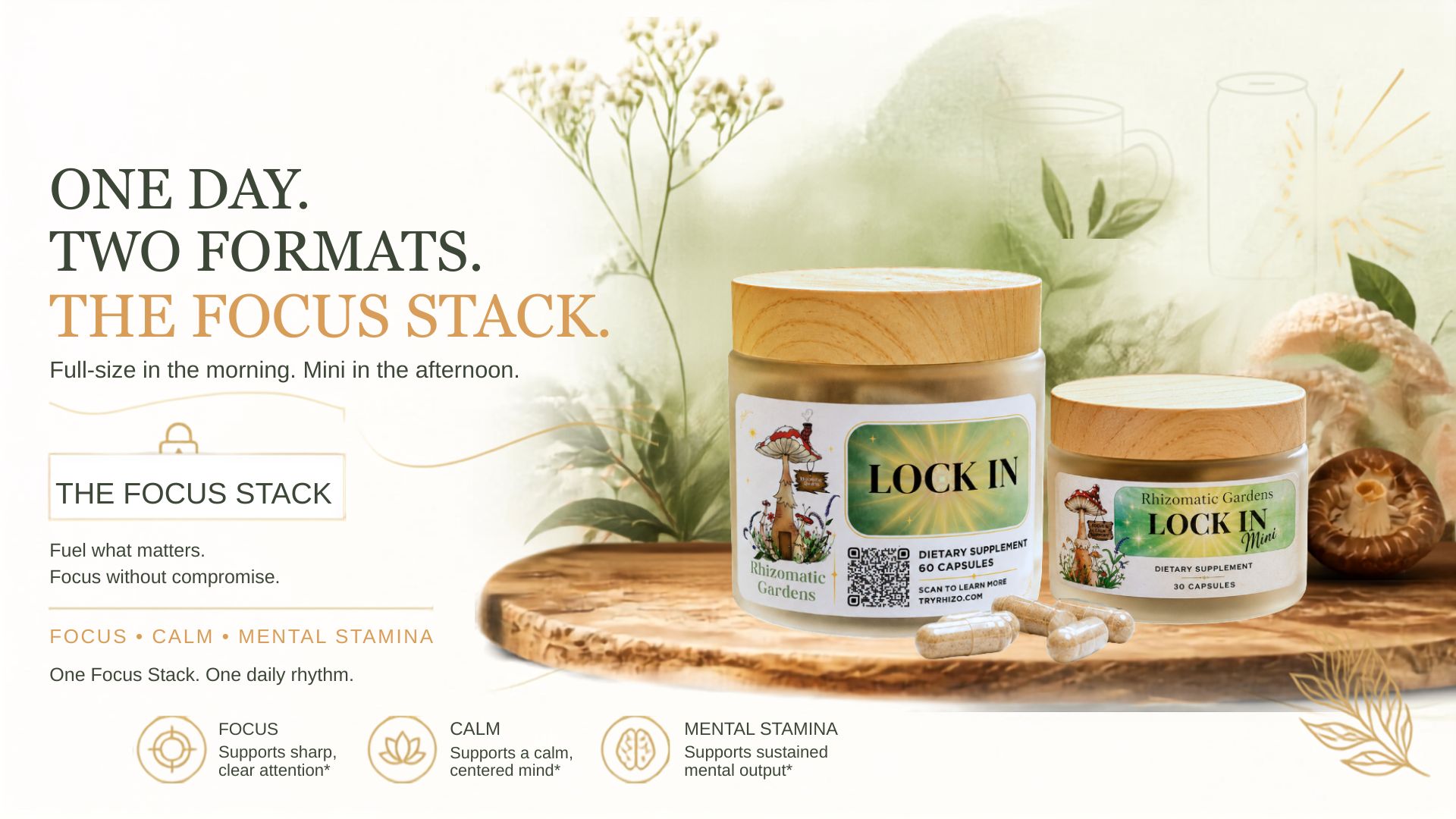 One day, two formats: the Focus Stack with full-size LOCK IN and LOCK IN Mini jars