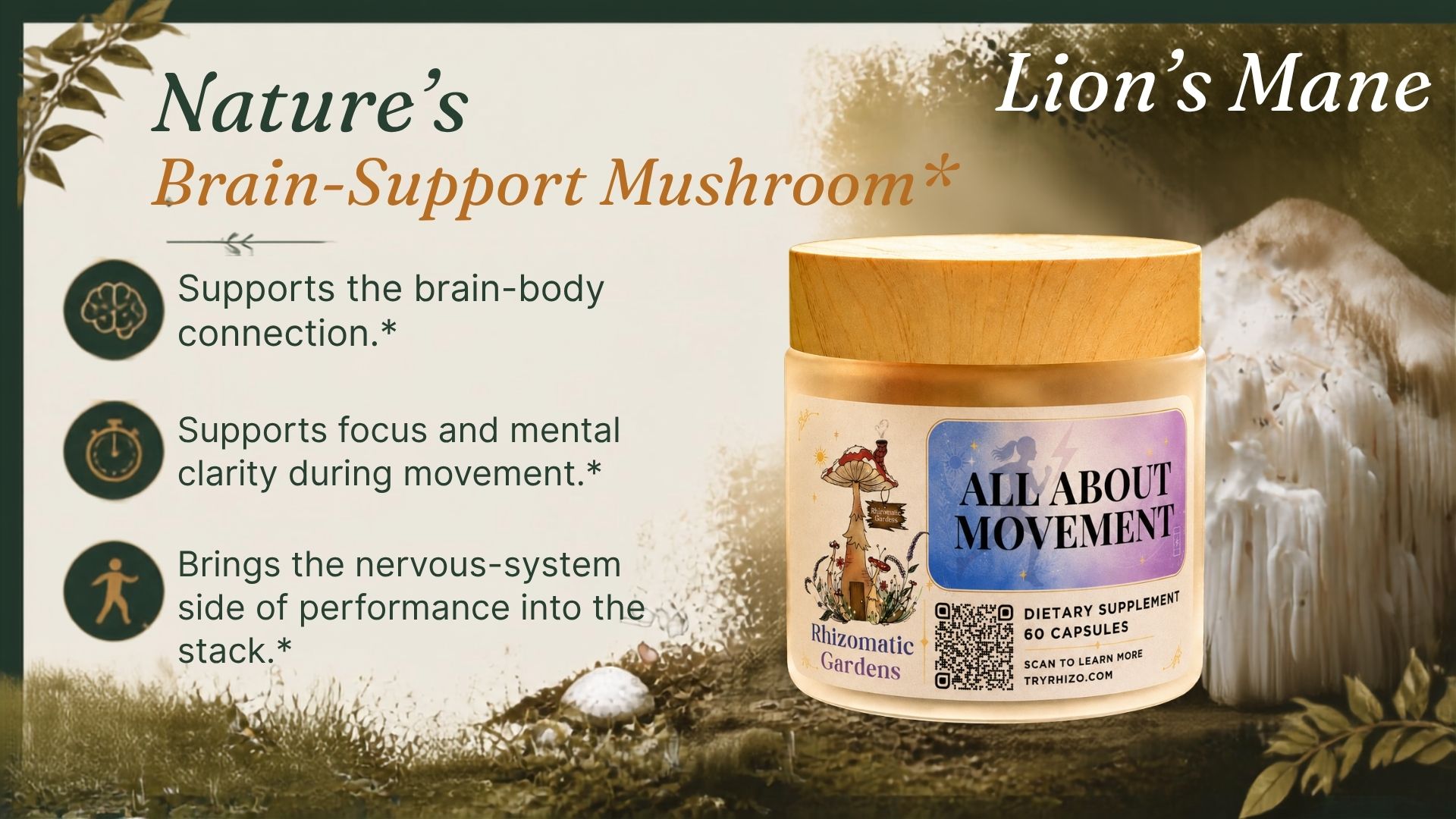 Lion’s Mane brain-body connection support in All About Movement