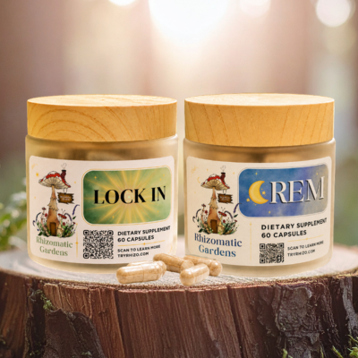Foundational Stack, Lock In and REM
