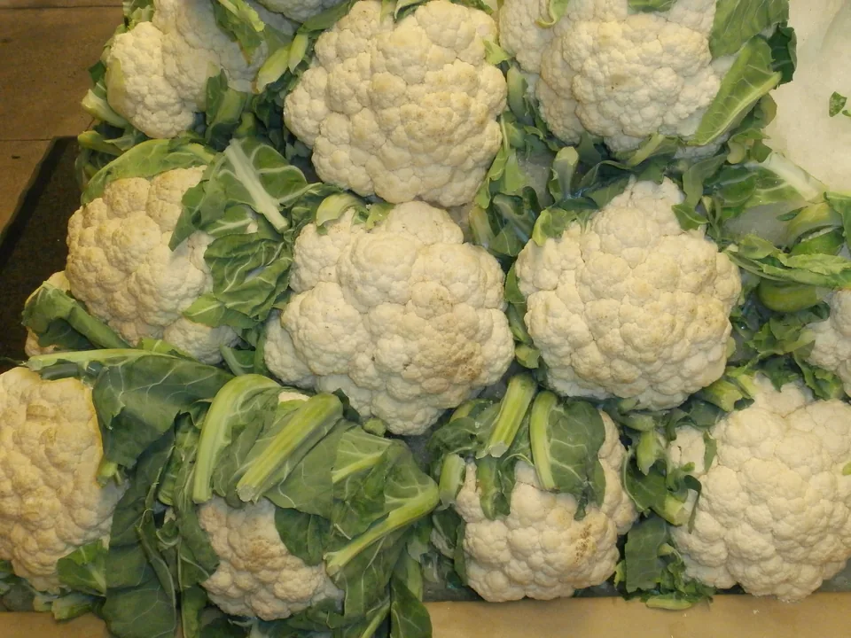 Fresh cauliflower