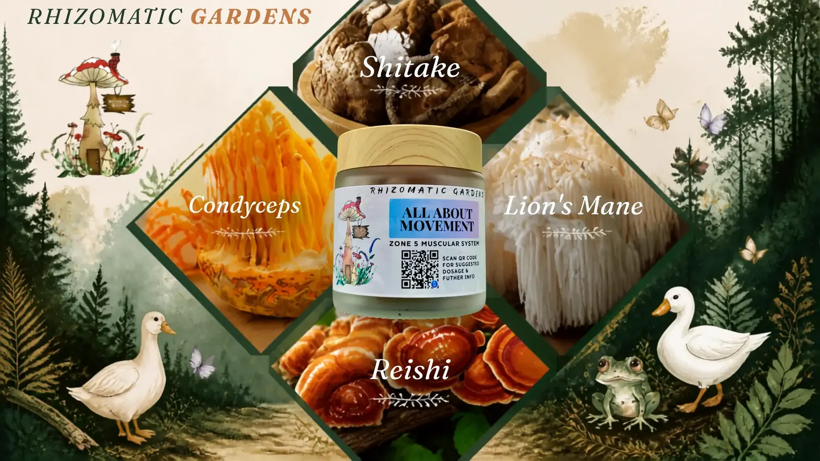 All About Movement mushroom composition: Shiitake, Cordyceps, Lion's Mane, and Reishi surrounding the All About Movement jar