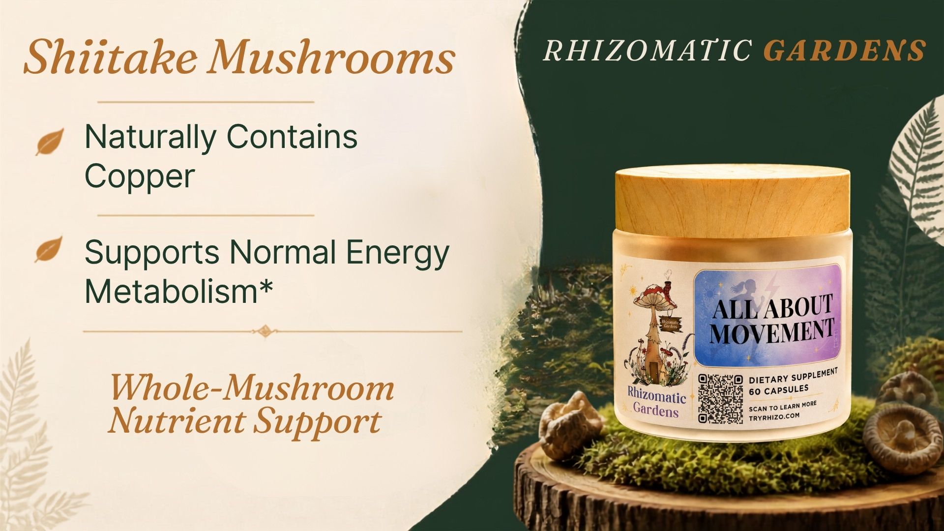 Shiitake whole-mushroom nutrient support in All About Movement