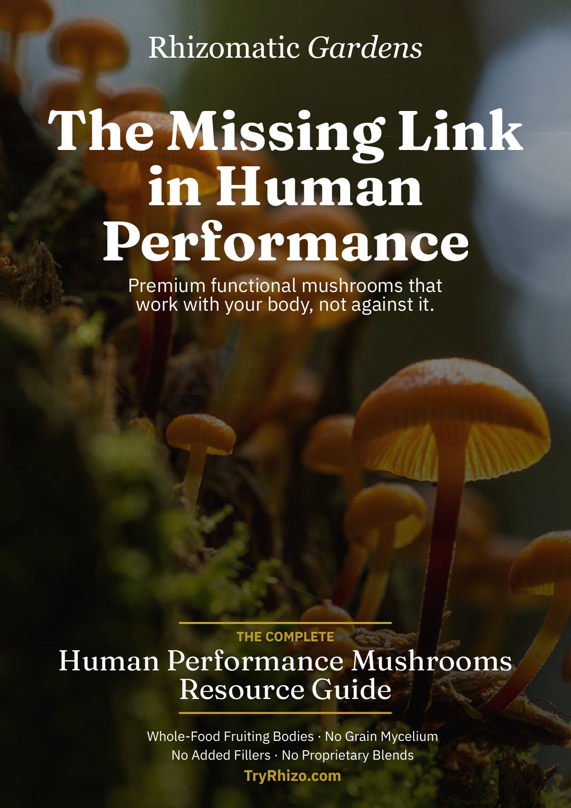 The Functional Mushroom Resource Guide cover