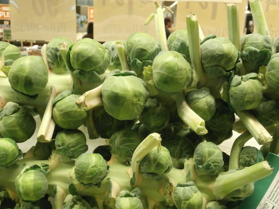 Fresh Brussels sprouts