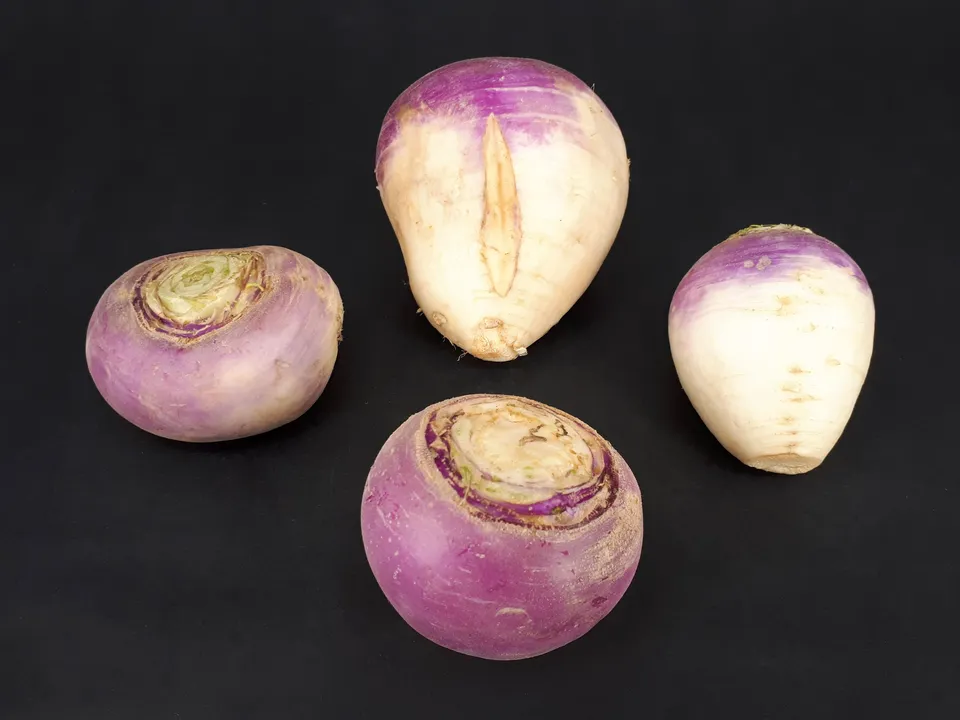 Fresh turnips