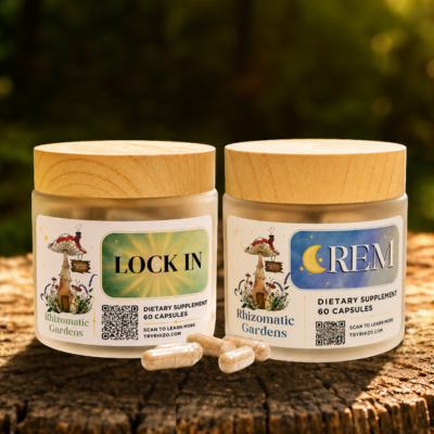 Foundational Stack, Lock In and REM