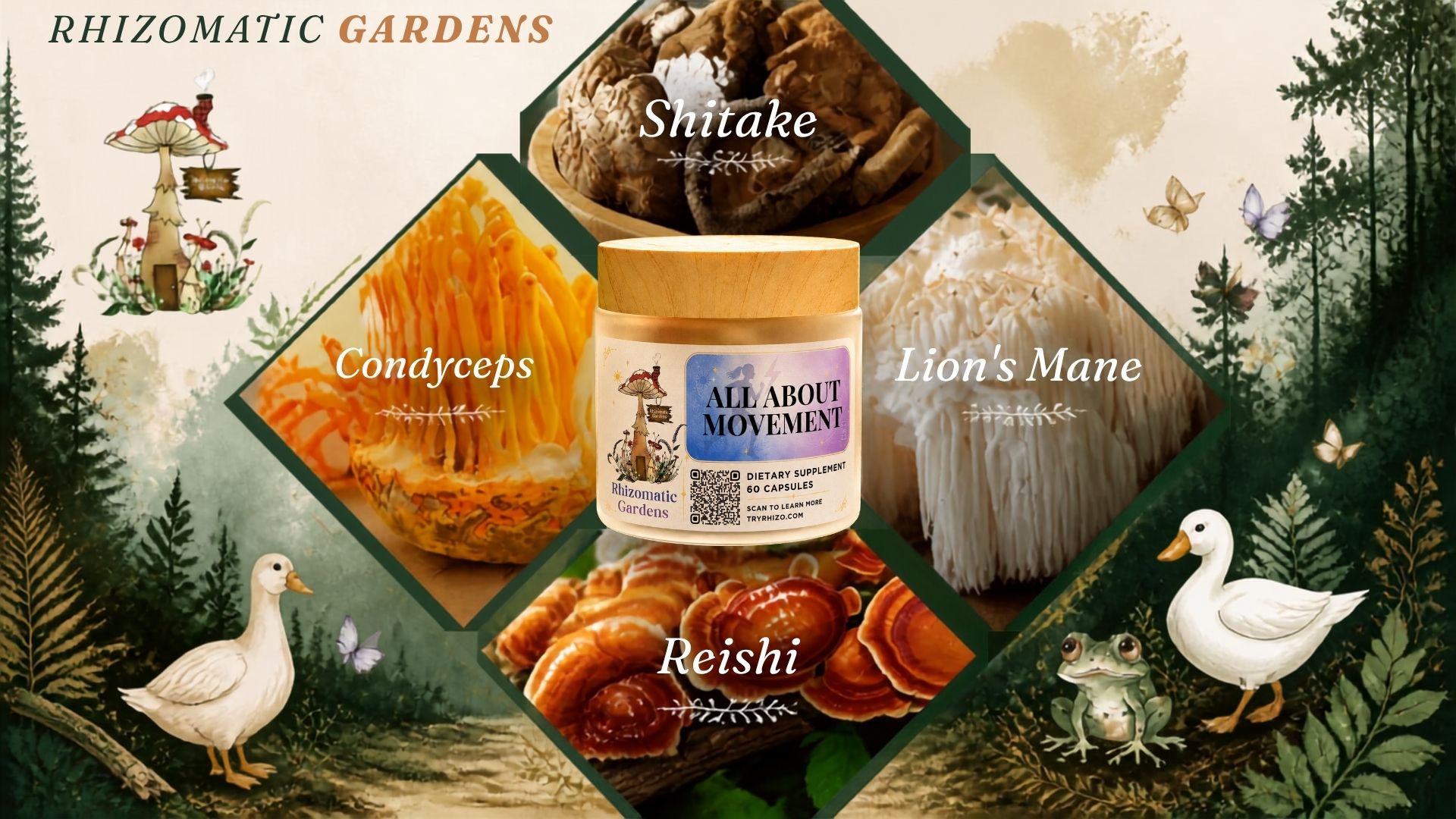 Cordyceps, Shiitake, Lion’s Mane, and Reishi arranged around All About Movement