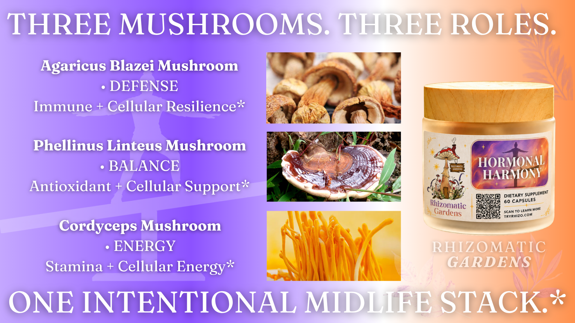 The three fruiting-body mushrooms in Hormonal Harmony and the role each one plays