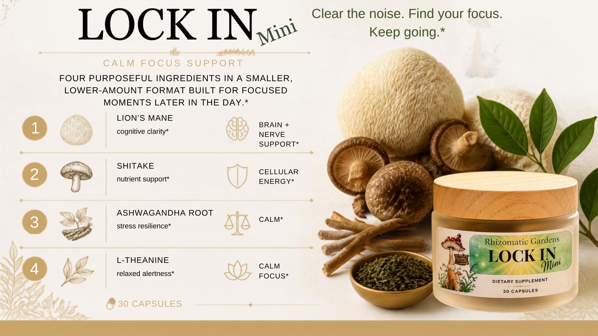 The four ingredients in LOCK IN Mini and the roles they play