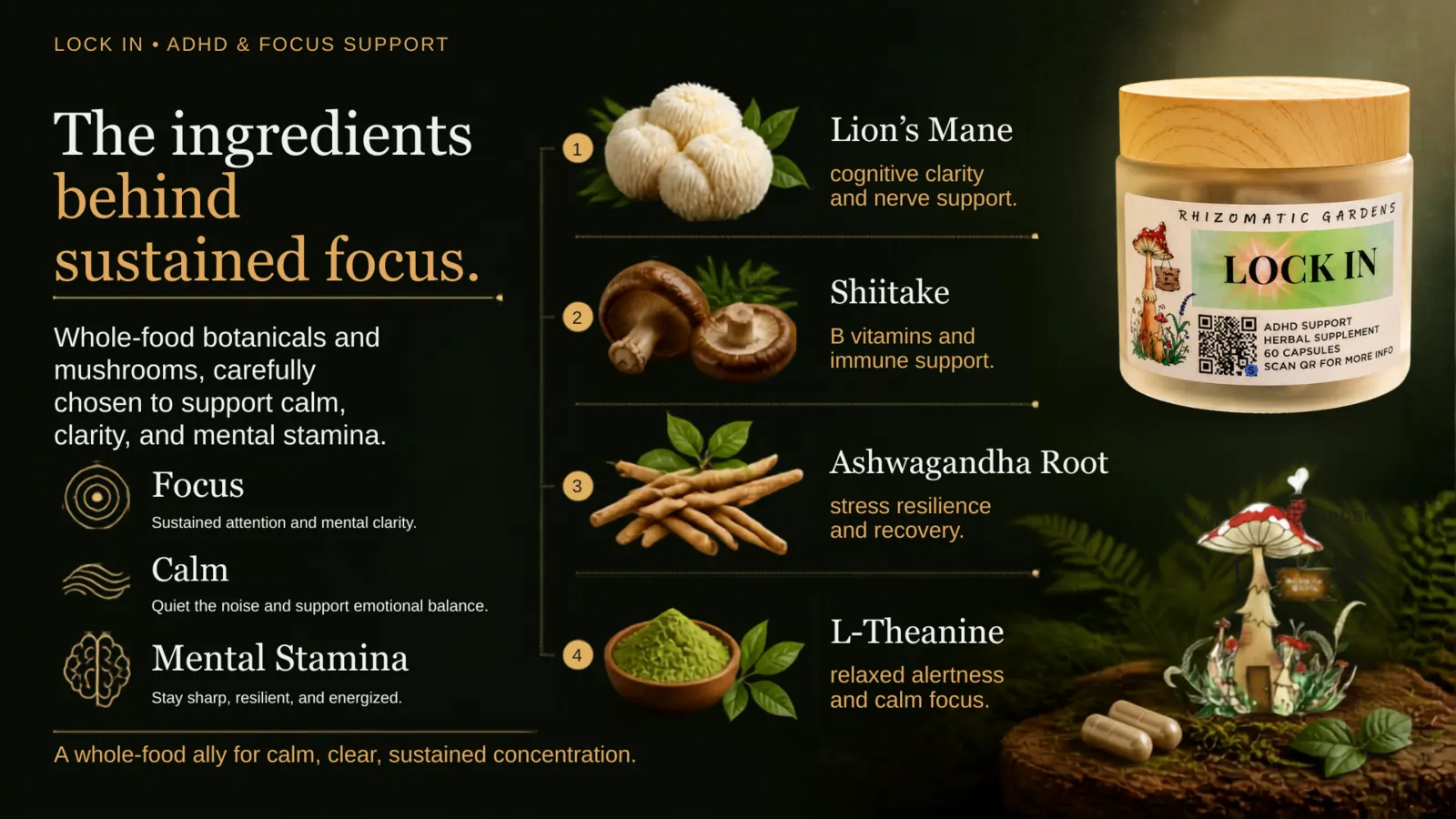 The ingredients behind sustained focus in LOCK IN: Lion's Mane, Shiitake, Ashwagandha Root, and L-Theanine, with focus, calm, and mental stamina benefits