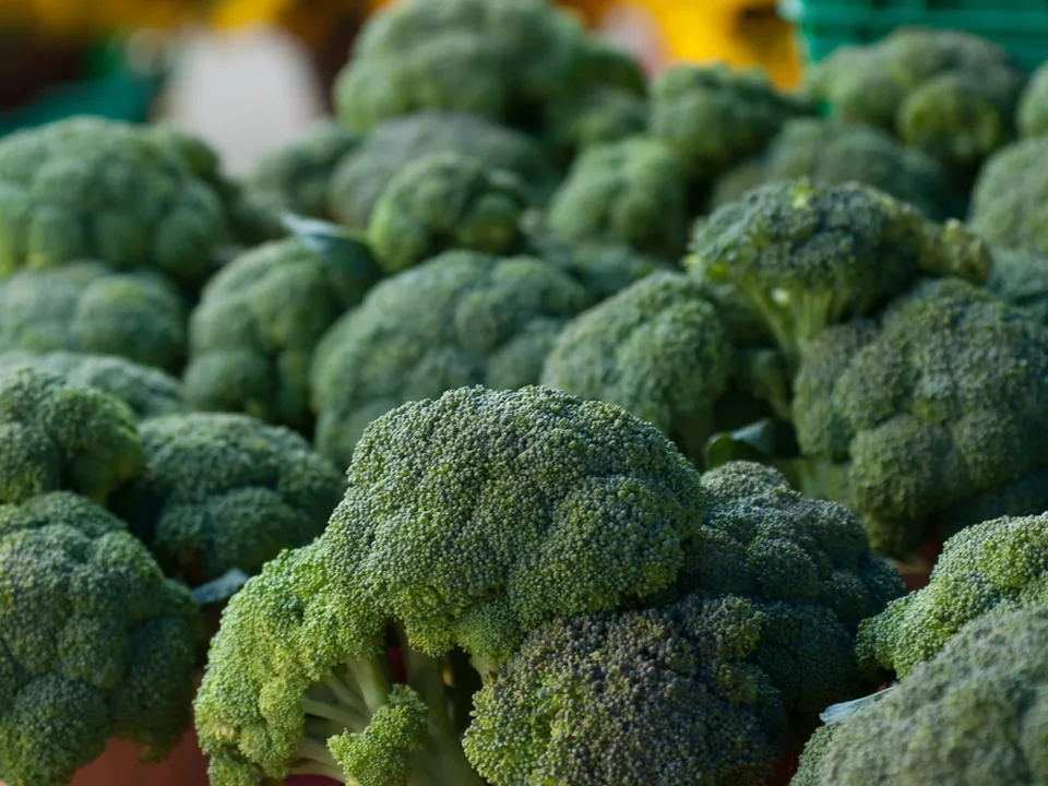 Fresh broccoli