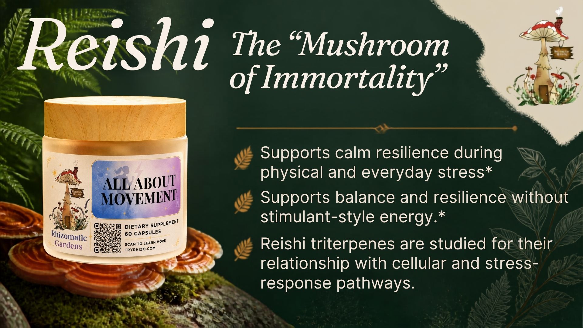 Reishi balance and resilience support in All About Movement