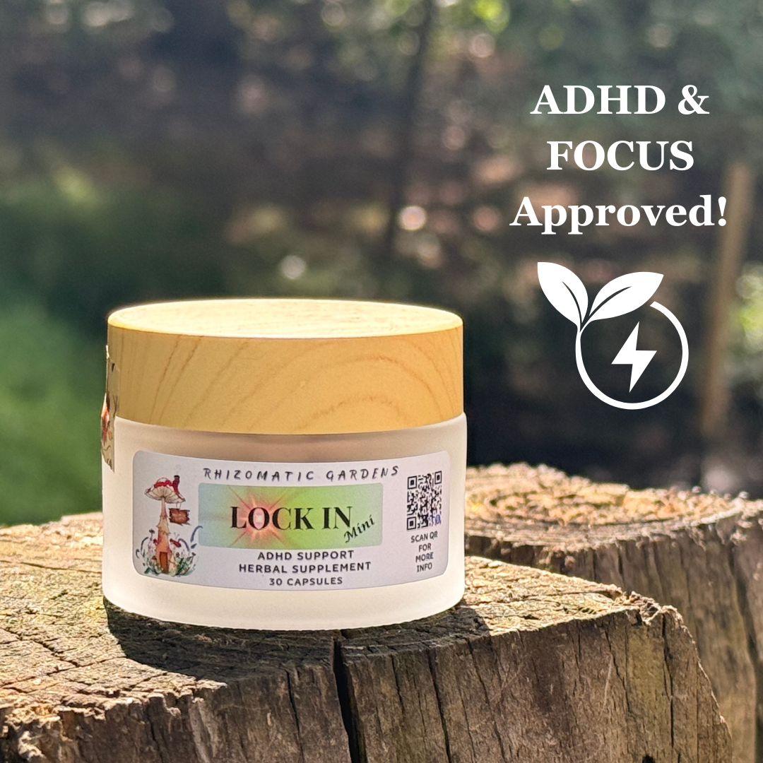 LOCK IN: Mini focus and mental clarity herbal supplement jar by Rhizomatic Gardens, sitting on a wooden stump in dappled forest light