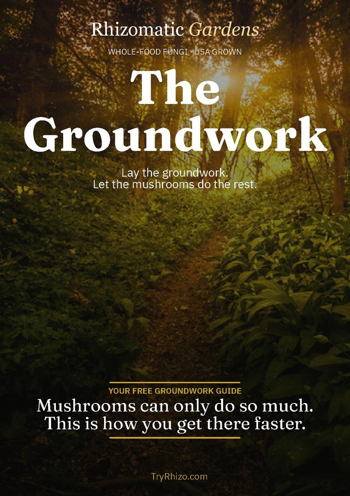 The Groundwork, the free Rhizomatic Gardens wellness guide cover